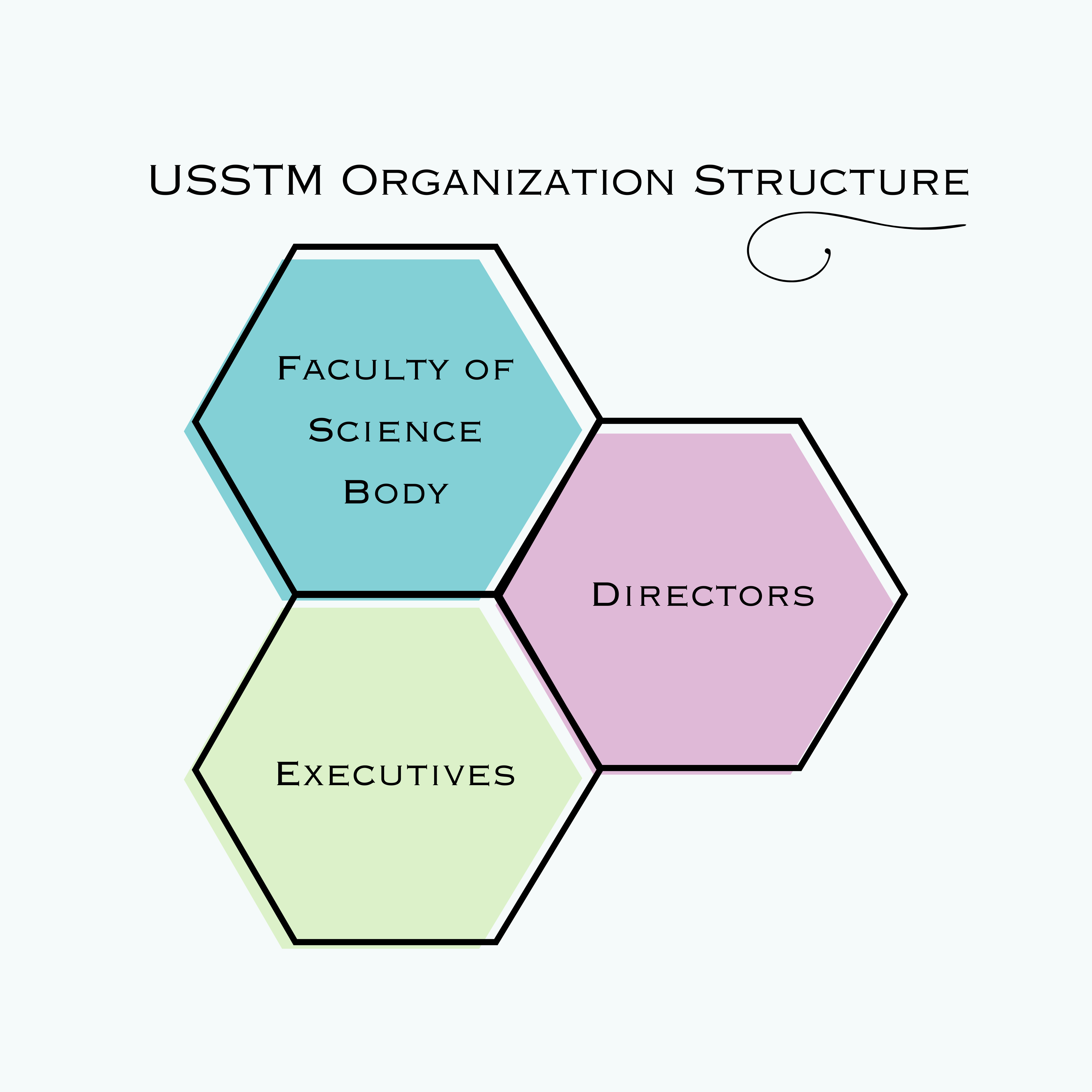 USSTM Structure
